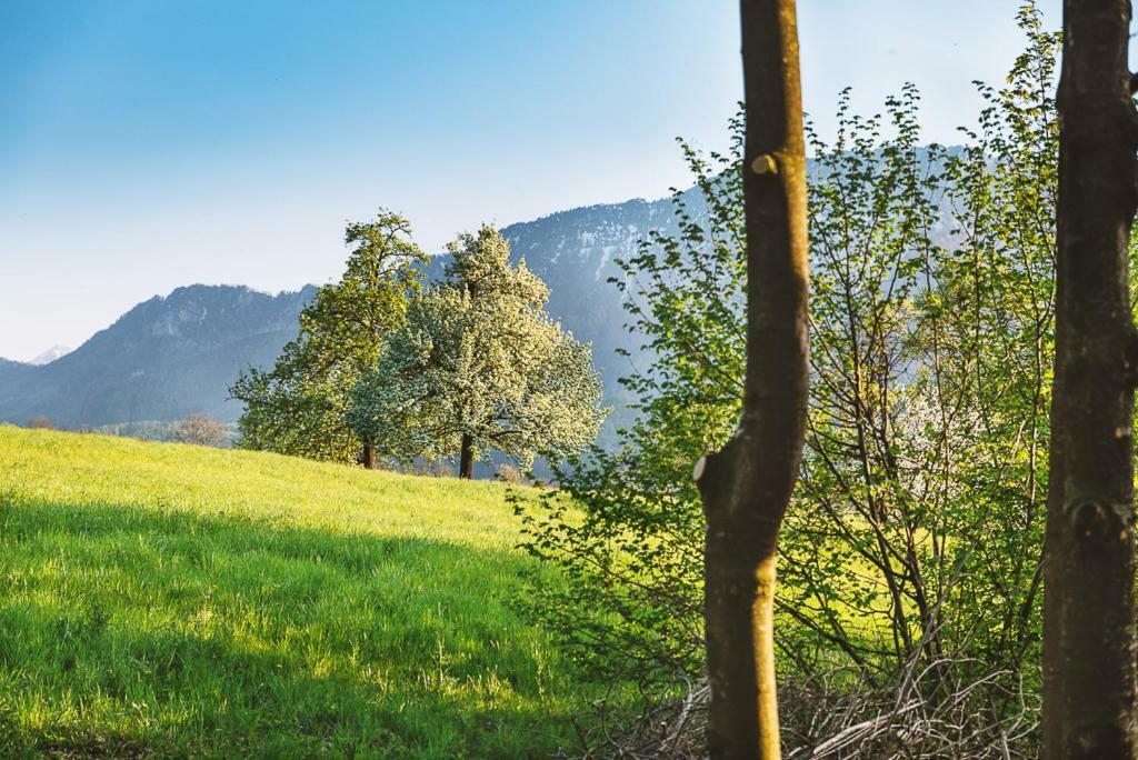 Вілла Auszeit Beim Oswald Micheldorf in Oberosterreich Екстер'єр фото